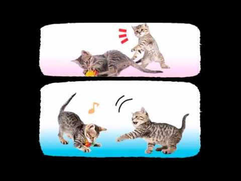 1754353536_hqdefault-3860216-6892806-jpg