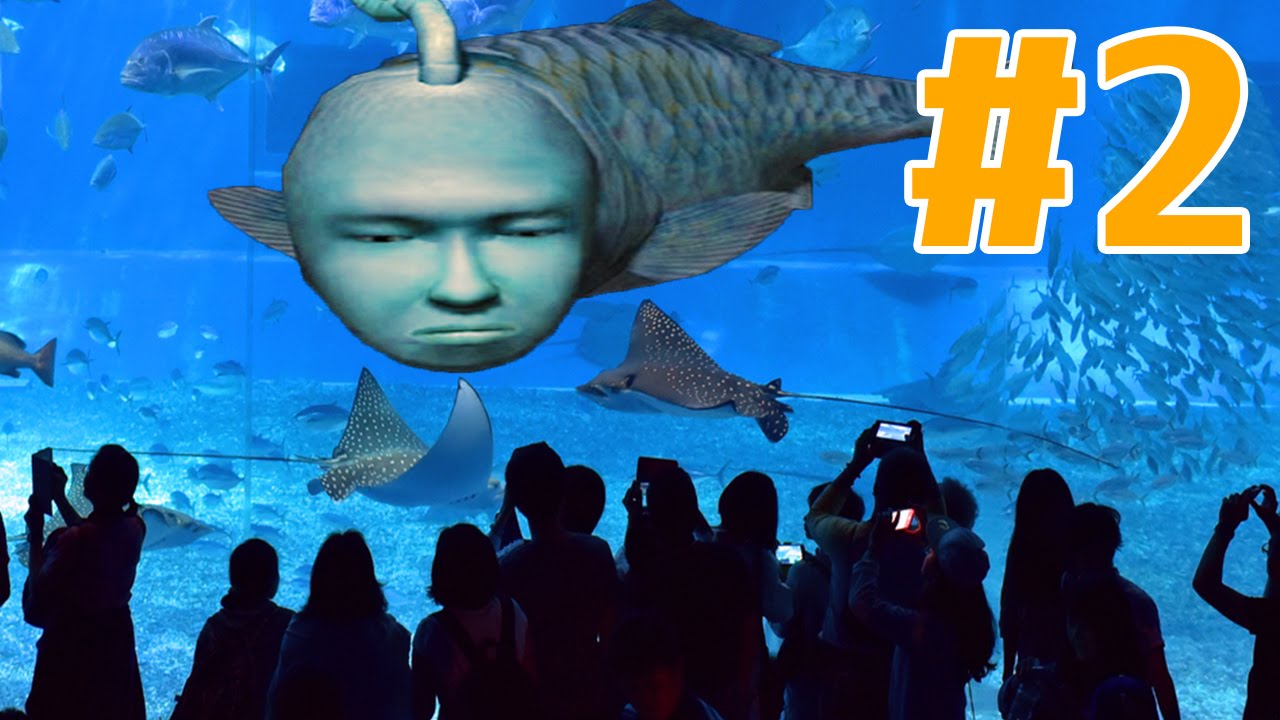 1756845239_maxresdefault-8410150-9321075-jpg