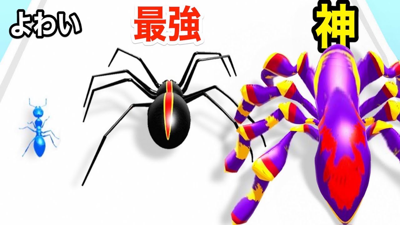 1765693661_maxresdefault-5928996-6571967-jpg