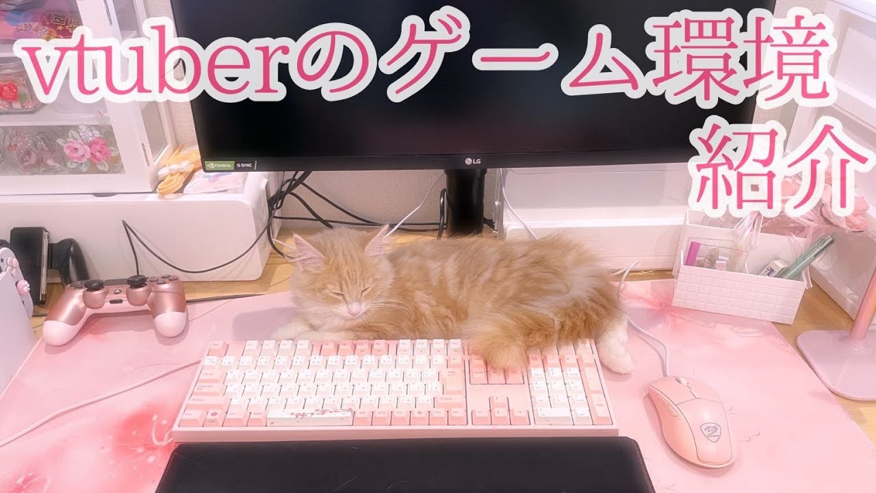 1765932064_maxresdefault-5072292-9465906-jpg